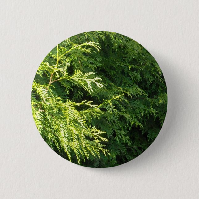 Cedar Hedge 6 Cm Round Badge (Front)