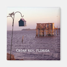 Cedar Key Bird Feeder, Cedar Key, Florida