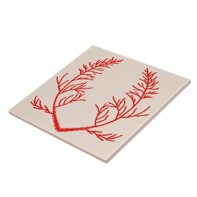 Cedar Leaves on a Beige Ceramic Tile (Side)