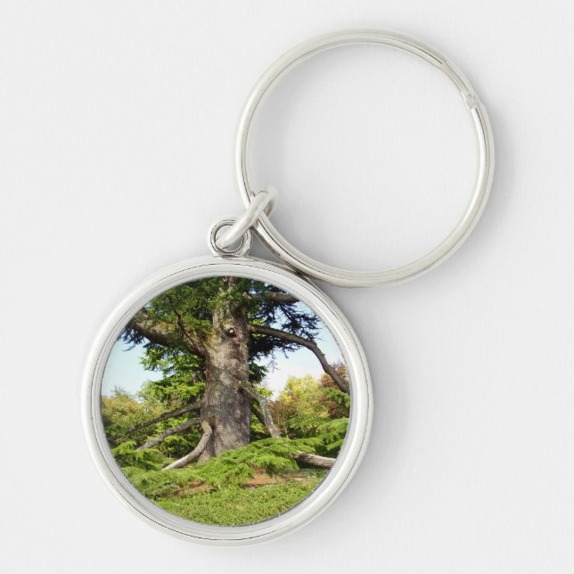 Cedar-of-Lebanon Tree Key Ring (Front)