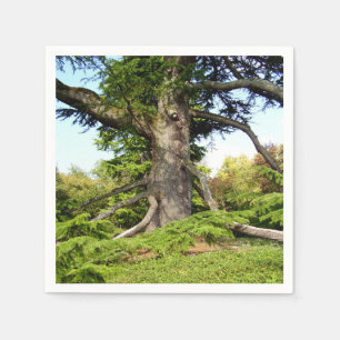 Cedar-of-Lebanon Tree Paper Napkins
