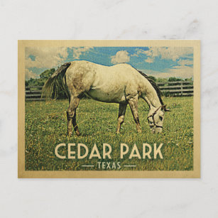 Cedar Park Texas Horse Farm -Vintage Travel Postcard