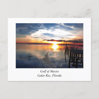 Cedar Point Florida Postcard