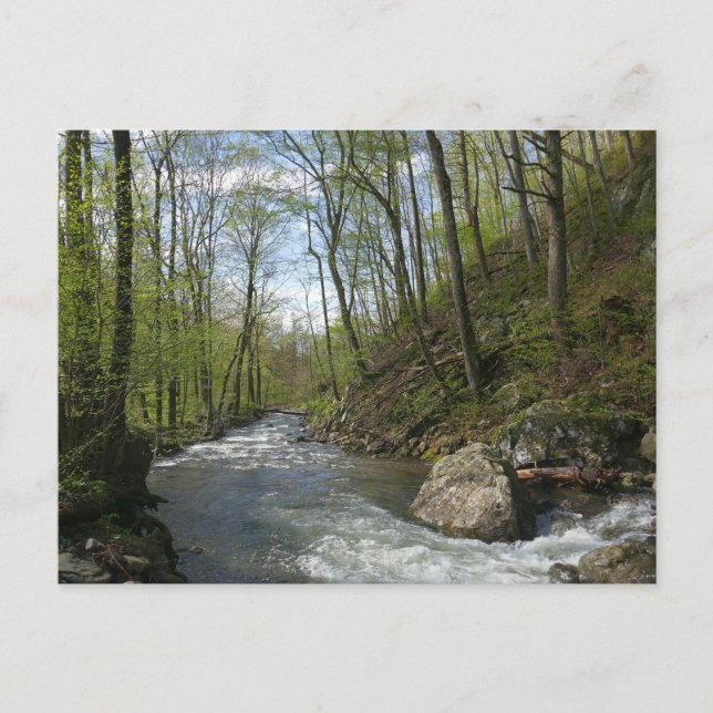 Cedar Run at White Oak Canyon Postcard (Front)