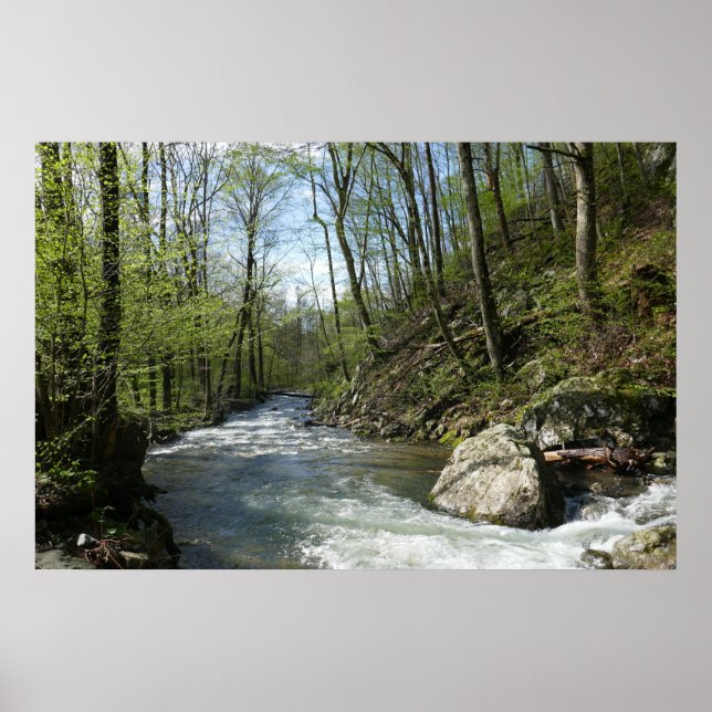 Cedar Run at White Oak Canyon Poster (Front)