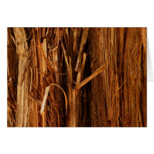 Cedar Textured Wooden Bark Look