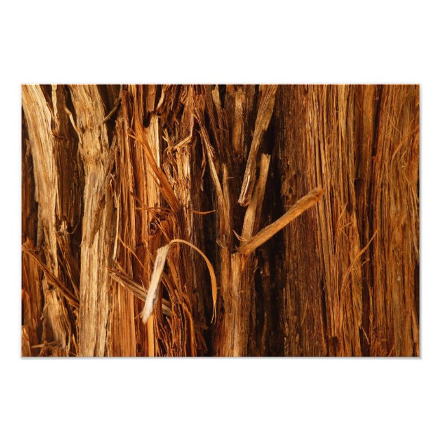 Cedar Textured Wooden Bark Look Photo Print (Front)