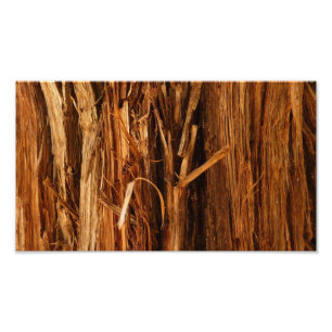 Cedar Textured Wooden Bark Look Photo Print