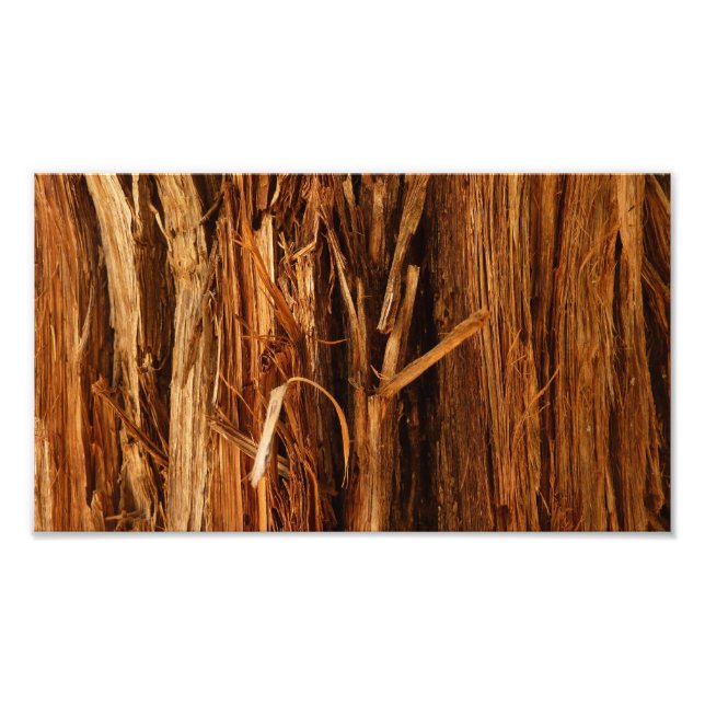 Cedar Textured Wooden Bark Look Photo Print (Front)