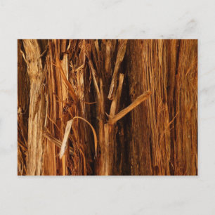 Cedar Textured Wooden Bark Look Postcard
