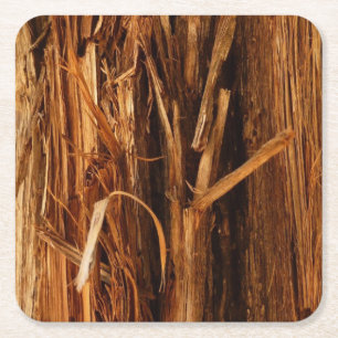 Cedar Textured Wooden Bark Look Square Paper Coaster