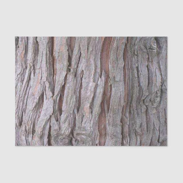 Cedar tree bark texture tissue paper (Front)