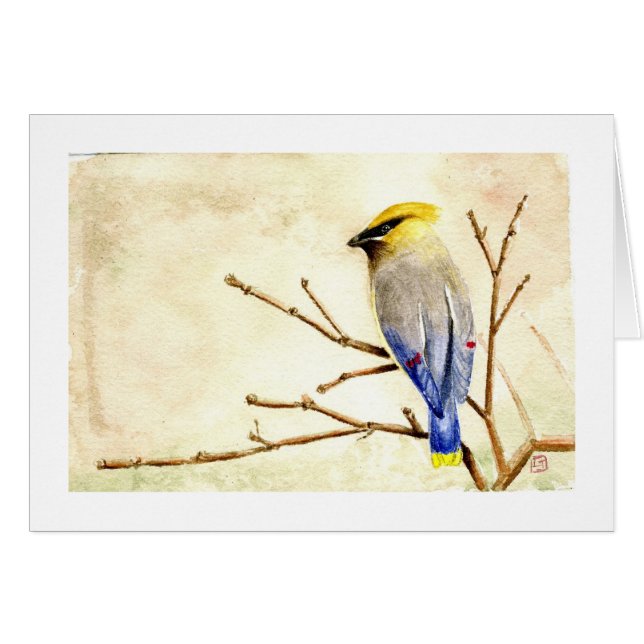 Cedar Waxwing (Front Horizontal)