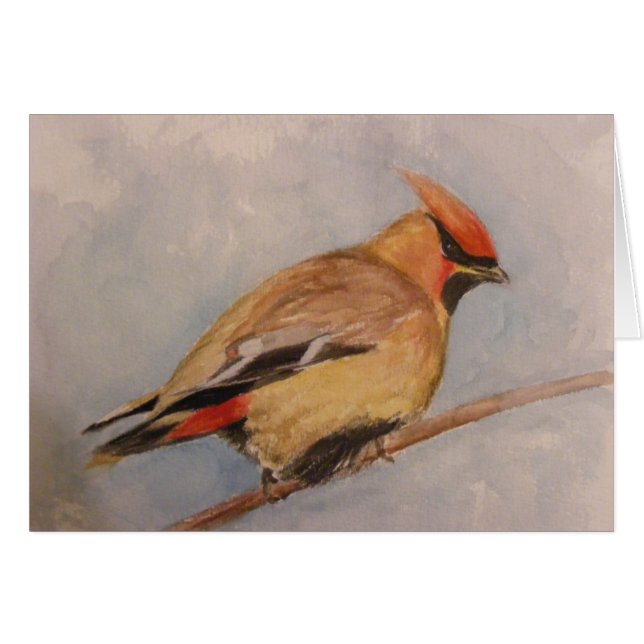 Cedar Waxwing (Front Horizontal)