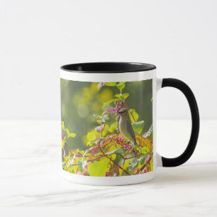 Cedar Waxwing  And Poke Berries On A Tree Mug
