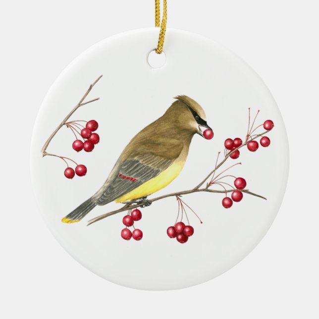 Cedar Waxwing Bird Art Ornament (Front)