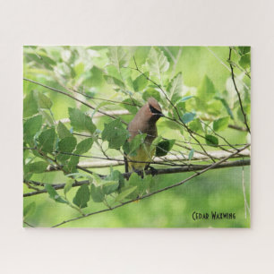 Cedar Waxwing, bird lover's  Jigsaw Puzzle