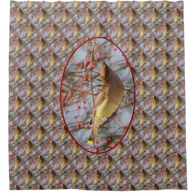 Cedar Waxwing Bird Nature Pattern  Shower Curtain (Front)
