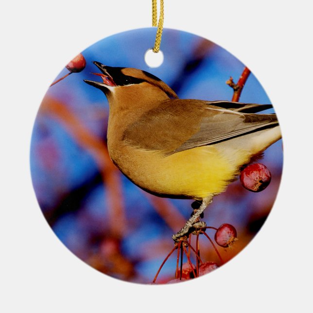 Cedar Waxwing Ceramic Tree Decoration (Front)