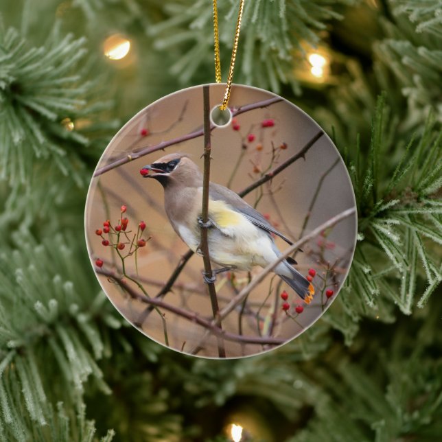 Cedar Waxwing | Christmas Ornament (Tree)