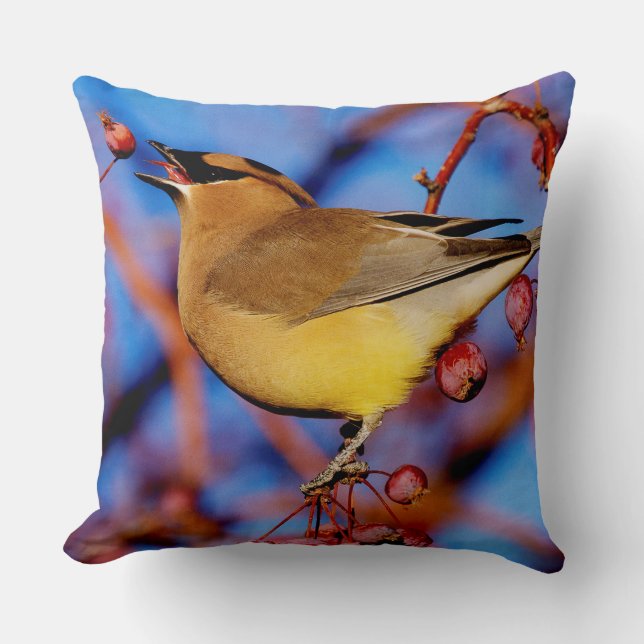 Cedar Waxwing Cushion (Front)