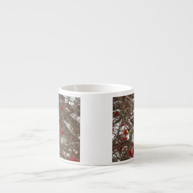 Cedar Waxwing Espresso Cup (Front)