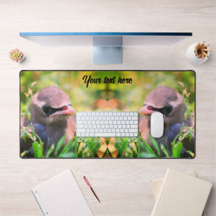 Cedar Waxwing Fledgling Bird Personalised Desk Mat