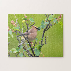 Cedar Waxwing Jigsaw Puzzle