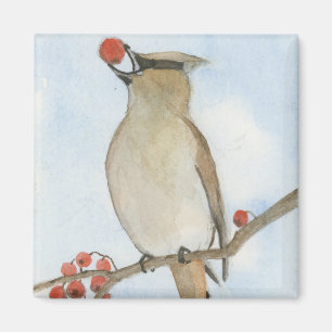 Cedar Waxwing Magnet