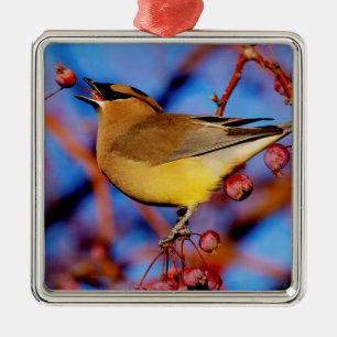 Cedar Waxwing Metal Tree Decoration