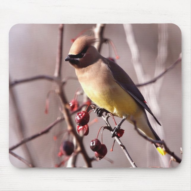Cedar Waxwing Mouse Pad (Front)