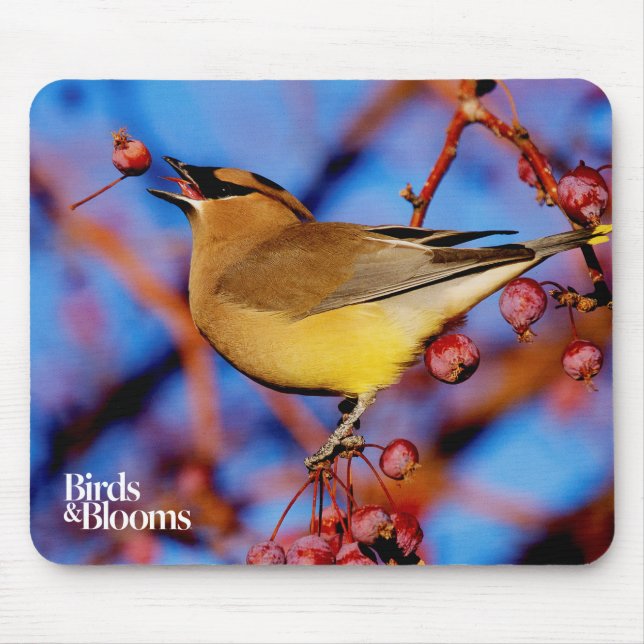 Cedar Waxwing Mouse Pad (Front)