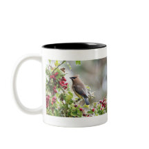 Cedar Waxwing mug