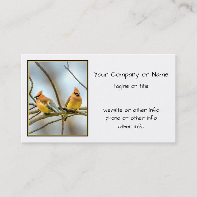Cedar Waxwing - Original Photograph Business Card (Front)