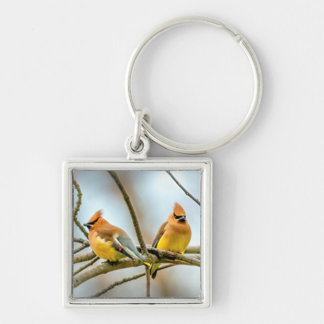 Cedar Waxwing - Original Photograph Key Ring (Front)