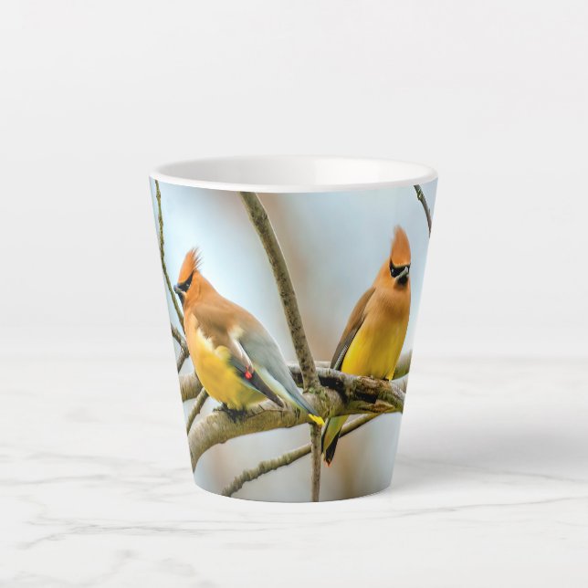 Cedar Waxwing - Original Photograph Latte Mug (Front)