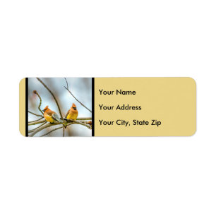 Cedar Waxwing - Original Photograph Return Address Label