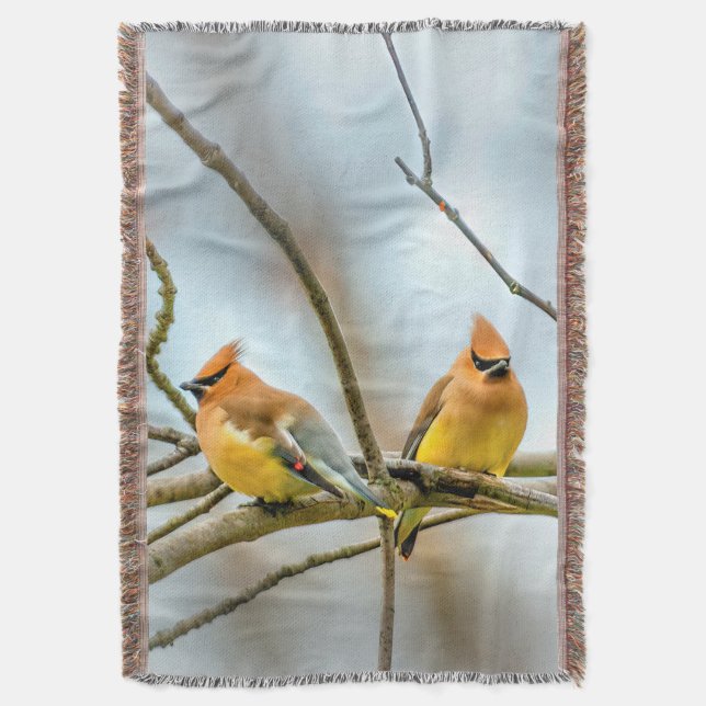 Cedar Waxwing - Original Photograph Throw Blanket (Front Vertical)