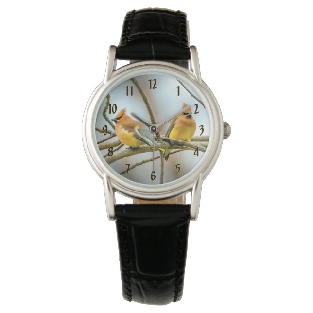 Cedar Waxwing - Original Photograph Watch (Front)