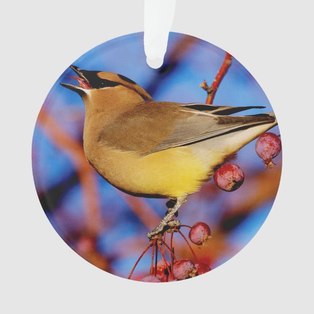 Cedar Waxwing Ornament (Front)