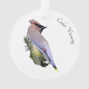 Cedar Waxwing Ornament