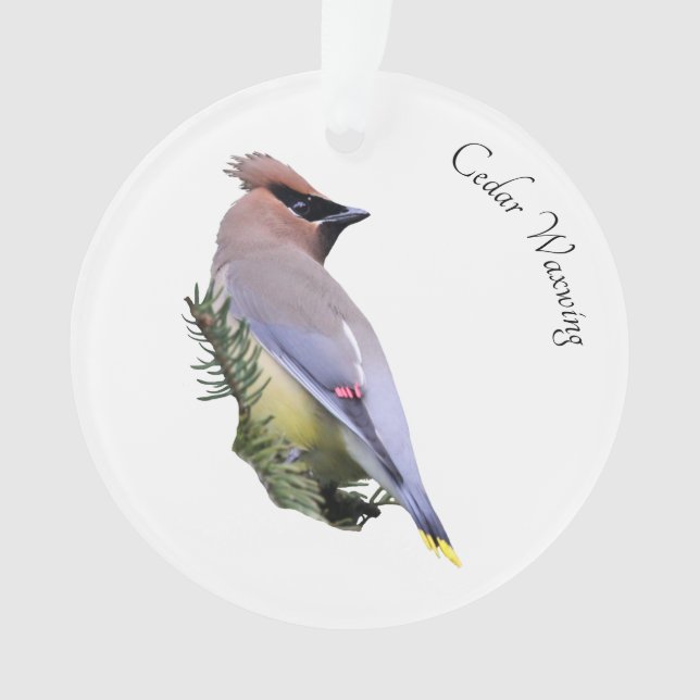 Cedar Waxwing Ornament (Front)