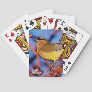 Cedar Waxwing Playing Cards
