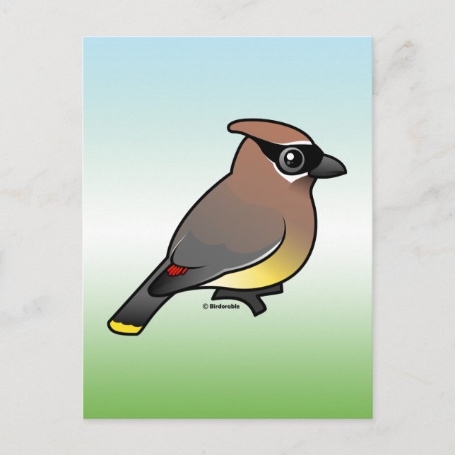 Cedar Waxwing Postcard (Front)