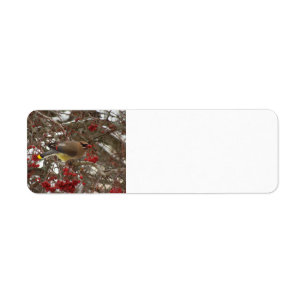 Cedar Waxwing Return Address Label