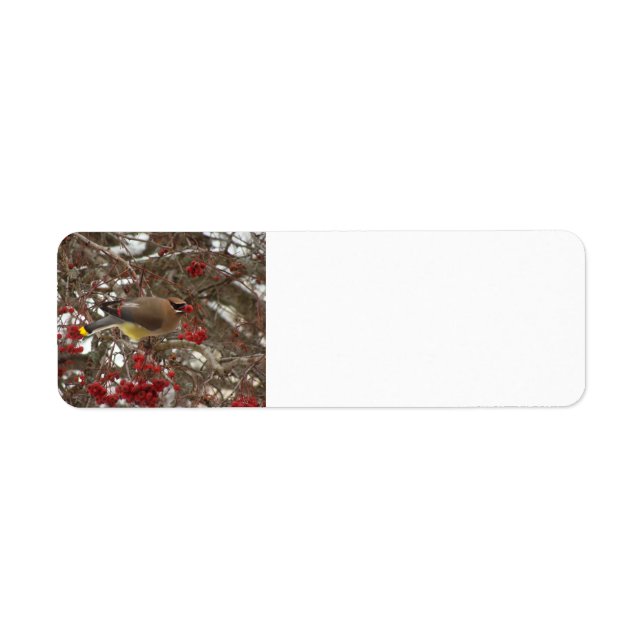 Cedar Waxwing Return Address Label (Front)