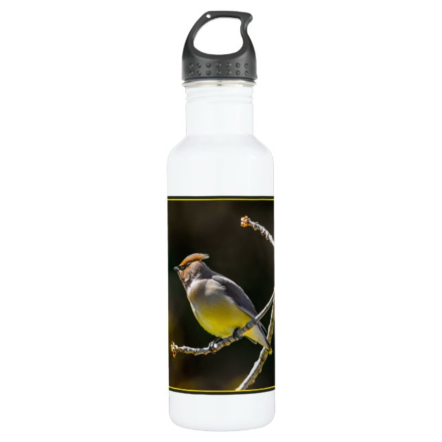 Cedar Waxwing Songbird Original Wild Bird Photo 710 Ml Water Bottle (Front)
