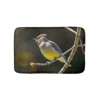 Cedar Waxwing Songbird Original Wild Bird Photo