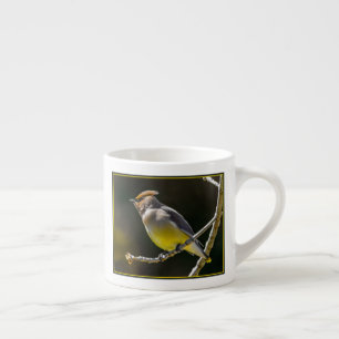 Cedar Waxwing Songbird Original Wild Bird Photo Espresso Cup