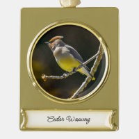 Cedar Waxwing Songbird Original Wild Bird Photo